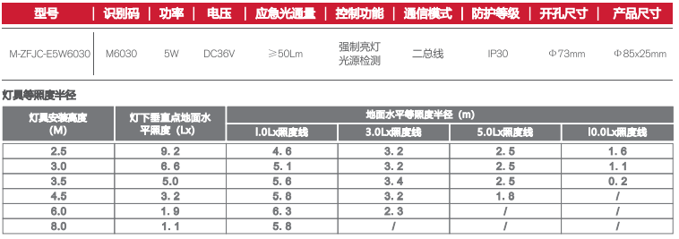 消防应急灯嵌顶天花灯参数