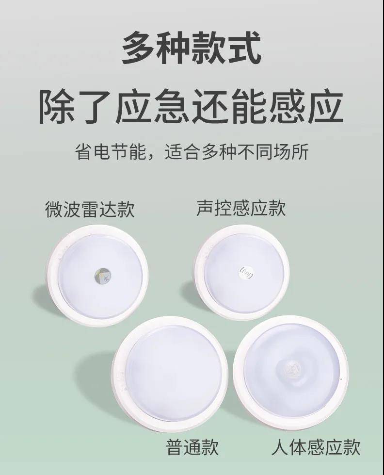 敏华应急灯雾罩吸顶灯4